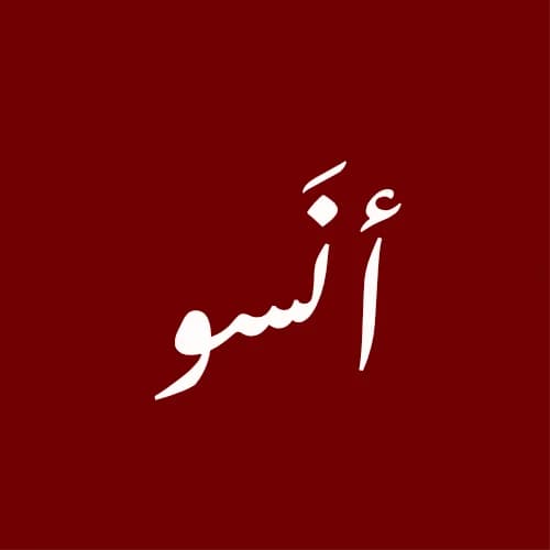 Anso Store